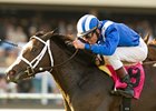 Habaya is one of the graded stakes winners facing favorite April Pride in the Appalachian