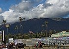 Karakontie wins the 2014 Breeders' Cup Mile.