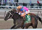 Calibrachoa defeated Caleb's Posse by a neck in the Tom Fool March 3.