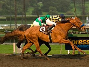 Big Names Nominated to Charles Town Classic Big Names Nominated to Charles Town Classic