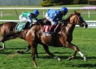 Hessonite
<br><a target="blank" href="http://photos.bloodhorse.com/AtTheRaces-1/at-the-races-2013/27257665_QgCqdh#!i=2493132163&k=8SpDTZg">Order This Photo</a>