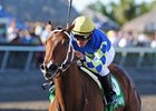 Hilda's Passion makes her Belmont Park debut as the heavy favorite for the Vagrancy Handicap.<br><a target="blank" href="http://www.bloodhorse.com/horse-racing/photo-store?ref=http%3A%2F%2Fpictopia.com%2Fperl%2Fgal%3Fprovider_id%3D368%26ptp_photo_id%3D9455891%26ref%3Dstory">Order This Photo</a>