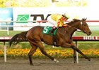 Turbulent Descent takes the Moccasin Stakes.