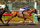 Blueskiesnrainbows takes on eight in the Super Derby at Louisiana Downs.