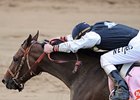 The West Virginia Derby is next up for Kentucky Derby Mine That Bird. <br><a target="blank" href="http://www.bloodhorse.com/horse-racing/photo-store?ref=http%3A%2F%2Fpictopia.com%2Fperl%2Fgal%3Fprovider_id%3D368%26ptp_photo_id%3D8150854%26ref%3Dstory">Order This Photo</a>