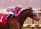 Lady Sabelia won the 2014 Willa On the Move Stakes.