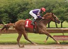 Amberjack rolls to victory in the New York Derby.