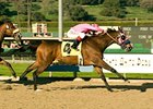 Longshot Zappa cruises to victory in the San Pasqual Handicap.<br><a target="blank" href="http://www.bloodhorse.com/horse-racing/photo-store?ref=http%3A%2F%2Fpictopia.com%2Fperl%2Fgal%3Fprovider_id%3D368%26ptp_photo_id%3D3278417%26ref%3Dstory">Order This Photo</a>