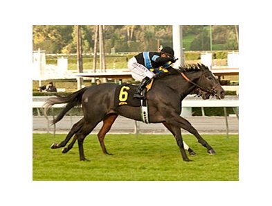 Mizdirection wins the Monrovia Stakes.