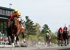 Successful Dan wins the Ben Ali Stakes.