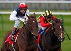 Siyouma (left) fights off Elusive Kate to win the Kingdom of Bahrain Sun Chariot Stakes.<br><a target="blank" href="http://photos.bloodhorse.com/AtTheRaces-1/at-the-races-2012/22274956_jFd5jM#!i=2117233764&k=JwR6xXC">Order This Photo</a>