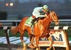 Haynesfield's win in the Empire Classic was one of 4 stakes wins for Ramon Dominguez on Oct. 24.
<br><a target="blank" href="http://www.bloodhorse.com/horse-racing/photo-store?ref=http%3A%2F%2Fpictopia.com%2Fperl%2Fgal%3Fprovider_id%3D368%26ptp_photo_id%3D8575021%26ref%3Dstory">Order This Photo</a>