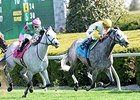 Hard Not to Like won the 2014 Jenny Wiley by half a length. <br><a target="blank" href="http://photos.bloodhorse.com/AtTheRaces-1/At-the-Races-2014/35724761_2vdnSX#!i=3175856631&k=scKxSKC">Order This Photo</a>