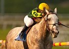 Unbridled Command