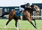 Optimizer streaks home to win the Kent Stakes at Delaware Park.