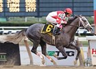 Old Fashioned winning the Remsen Stakes (gr. II)on Nov. 29. <br><a target="blank" href="http://www.bloodhorse.com/horse-racing/photo-store?ref=http%3A%2F%2Fpictopia.com%2Fperl%2Fgal%3Fprovider_id%3D368%26ptp_photo_id%3D6898323%0D%0A%26ref%3Dstory">Order This Photo</a>