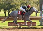 Wired Bryan Wires Field in NYB Futurity Wired Bryan Wires Field in NYB Futurity