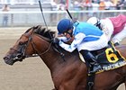 Teeth of the Dog fights off Fast Falcon to win the Dwyer.<br><a target="blank" href="http://photos.bloodhorse.com/AtTheRaces-1/at-the-races-2012/22274956_jFd5jM#!i=1937198263&k=9k9H4mf">Order This Photo</a>