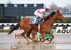 Vyjack, undefeated in two starts at Aqueduct, is favored in the Jerome.<br><a target="blank" href="http://photos.bloodhorse.com/AtTheRaces-1/at-the-races-2012/22274956_jFd5jM#!i=2302868167&k=SpTDMs6">Order This Photo</a>