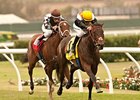 Wishing Gate rolls to victory in the San Clemente
