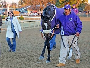 BC TV Overnight Ratings Slide Minus Zenyatta BC TV Overnight Ratings Slide Minus Zenyatta
