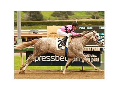 Flashback faces a full field in the Malibu Stakes.