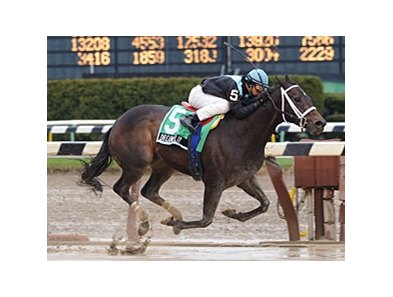 Dream Play cruises to victory in the Comely.<br><a target="blank" href="http://www.bloodhorse.com/horse-racing/photo-store?ref=http%3A%2F%2Fpictopia.com%2Fperl%2Fgal%3Fprovider_id%3D368%26ptp_photo_id%3D7999964%26ref%3Dstory">Order This Photo</a>