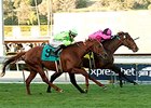 Alert Bay wins the 2014 Mathis Brothers Mile.