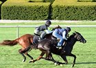 Evenly Matched Pair for Trainer Stidham Evenly Matched Pair for Trainer Stidham