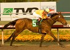 Undefeated Turbulent Descent tries dirt in the Las Virgenes Stakes. <br><a target="blank" href="http://www.bloodhorse.com/horse-racing/photo-store?ref=http%3A%2F%2Fpictopia.com%2Fperl%2Fgal%3Fprovider_id%3D368%26ptp_photo_id%3D9323548%26ref%3Dstory">Order This Photo</a>