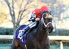Ride On Curlin returns to the races Nov. 26 in the Thanksgiving Handicap