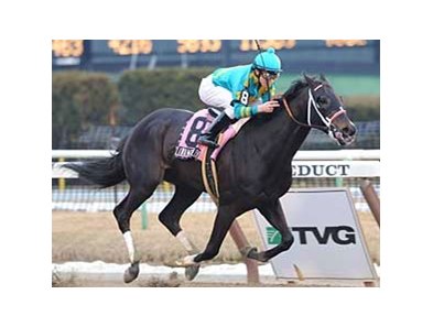 Gotham Stakes winner I Want Revenge will return to Aqueduct for the April 4 Wood Memorial. <br><a target="blank" href="http://www.bloodhorse.com/horse-racing/photo-store?ref=http%3A%2F%2Fgallery.pictopia.com%2Fbloodhorse%2Fgallery%2FS631826%2Fphoto%2F7872259%2F%3Fo%3D4">Order This Photo</a>