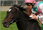 Redwood in the Northern Dancer Stakes at Woodbine.