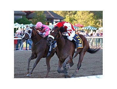 Blind Luck (left) and Havre de Grace met 4 times in 2010.