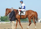 Shackleford
