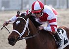 Havre de Grace
