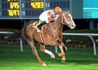 Coalport carries topweight of 121 pounds in the Mervin H. Muniz Jr. Handicap.