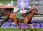 Main Sequence won the Longines Breeders' Cup Turf (gr. IT) and two grade I Breeders' Cup Challenge races. <br><a target="blank" href="http://photos.bloodhorse.com/BreedersCup/2014-Breeders-Cup/Turf/i-TW3B7bB/A">Order This Photo</a>