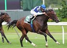 Aruna is in command in the Sheepshead Bay Stakes at Belmont Park.<br><a target="blank" href="http://photos.bloodhorse.com/AtTheRaces-1/at-the-races-2012/22274956_jFd5jM#!i=1869209457&k=WGNBt6S">Order This Photo</a>