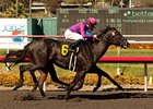 Potesta Proves Best in Hollywood Oaks