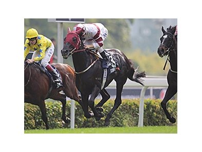 Dominant wins the Hong Kong Vase.
<br><a target="blank" href="http://photos.bloodhorse.com/AtTheRaces-1/at-the-races-2013/27257665_QgCqdh#!i=2955927853&k=jTgF5Hv">Order This Photo</a>