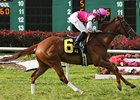 Workin for Hops faces 9 in the Hanshin Cup.