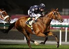 Presvis in the 2011 Dubai Duty Free.