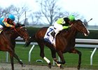 Boss Lafitte under Robby Albarado takes the Transylvania over Riley Tucker.