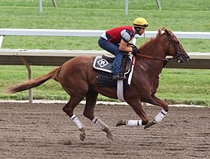 Dullahan Drills Sharply for Pacific Classic Dullahan Drills Sharply for Pacific Classic