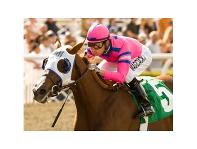 Blind Luck<br><a target="blank" href="http://www.bloodhorse.com/horse-racing/photo-store?ref=http%3A%2F%2Fpictopia.com%2Fperl%2Fgal%3Fprovider_id%3D368%26ptp_photo_id%3D8532320%26ref%3Dstory">Order This Photo</a>