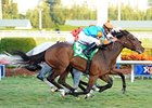 Heavenly Landing won the 2012 Marshua's River by a nose.