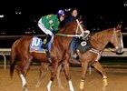 West Virginia Breeders' Classic winner Lucy's Bob Boy