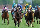 Great Attack streaks home in the Twin Spires Turf Sprint.<br><a target="blank" href="http://photos.bloodhorse.com/AtTheRaces-1/at-the-races-2012/22274956_jFd5jM#!i=1830138504&k=N6gL3gF">Order This Photo</a>