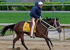 Proud Spell will be the likely Kentucky Oaks (gr. I) post time favorite if stablemate Eight Belles scratches in favor of the Derby.